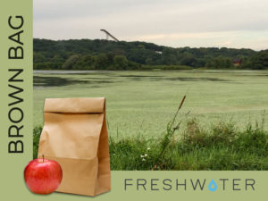 Brown bag with apple, lake in background