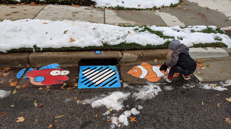 bright fish paintings by storm drain