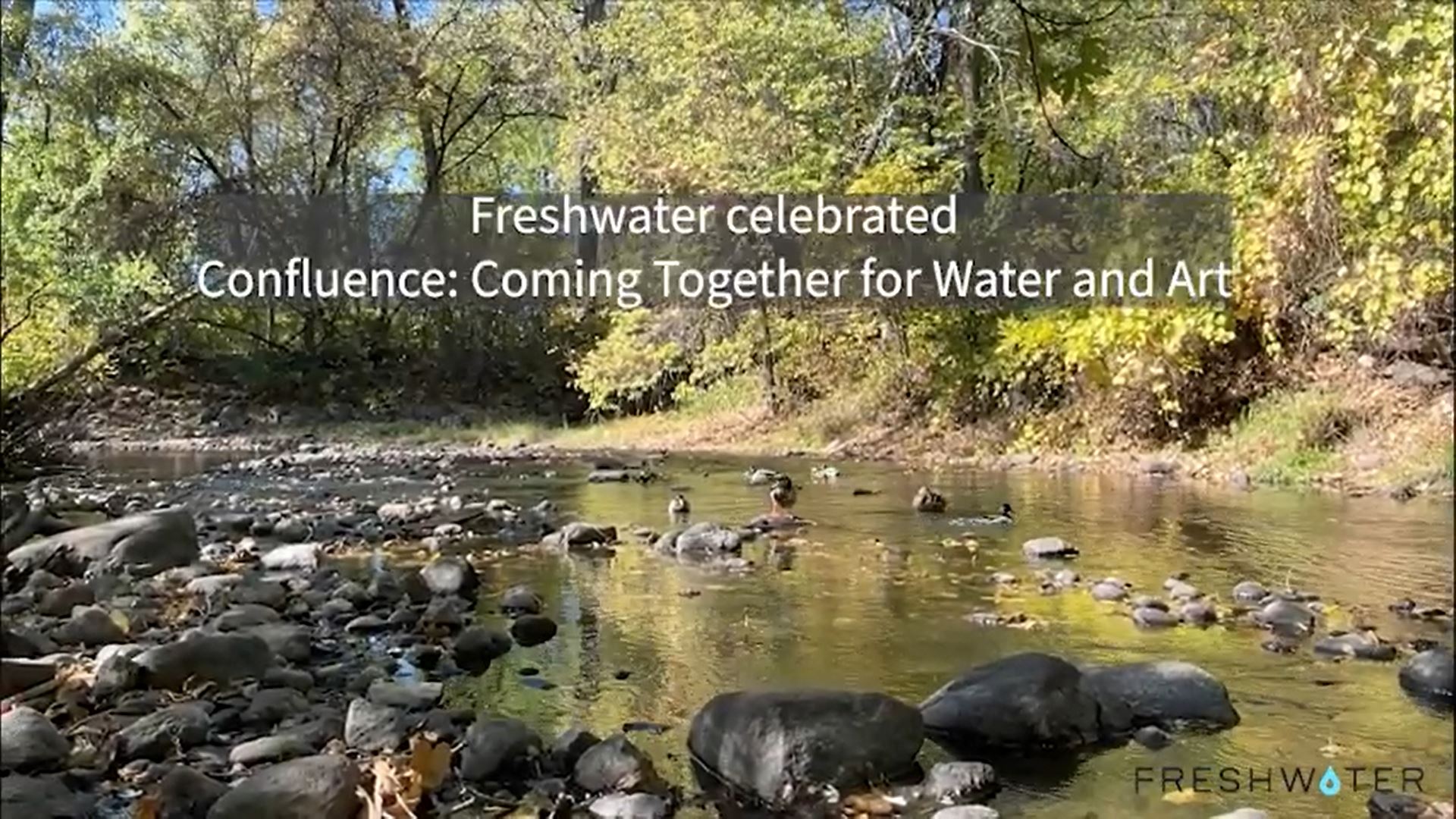 Freshwater celebrated Confluence: Coming Together for Water and Art