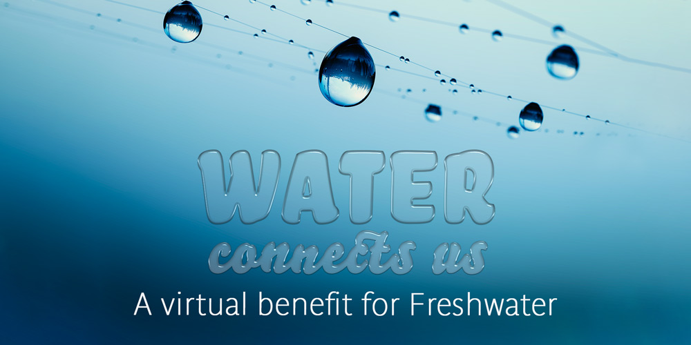 Water Coinnects Us: A virtual benefit for Freshwater