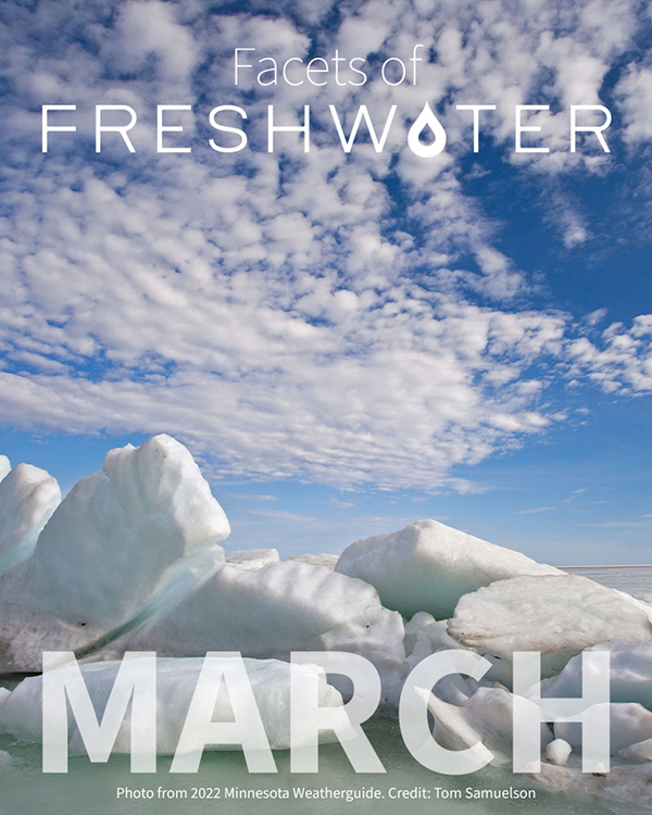Freshwater MARCH Facets newsletter