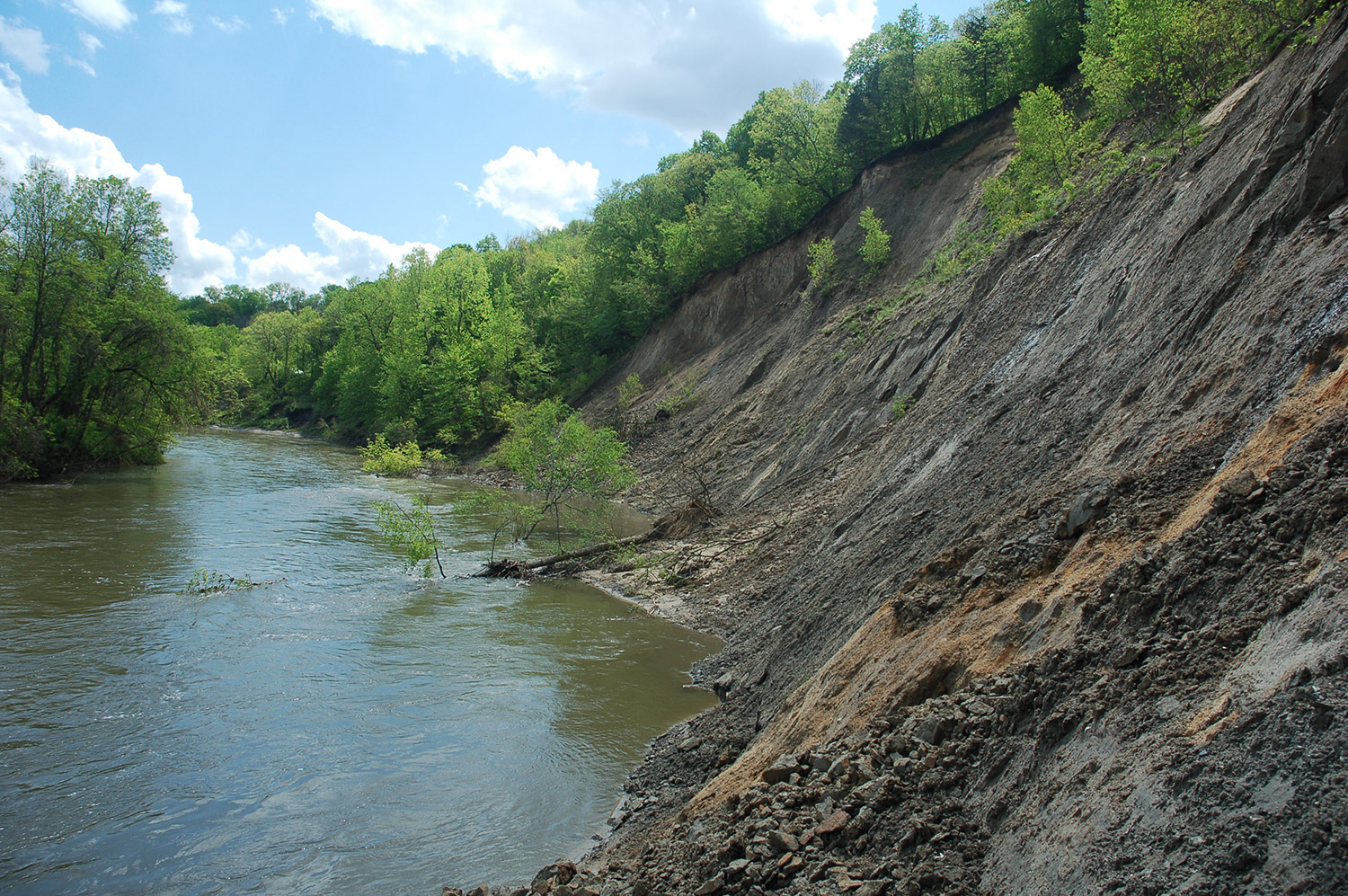 Eroding river bank