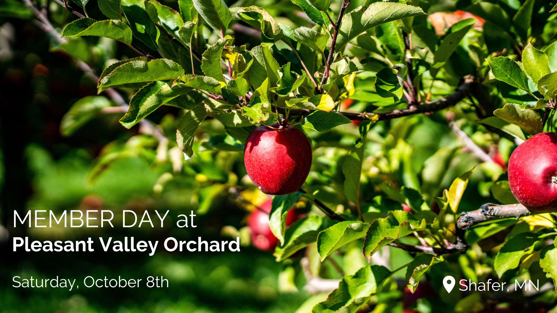 Pleasant Valley Orchard (3)