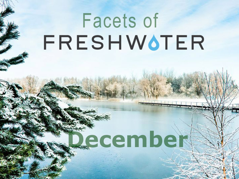 Facets of Freshwater