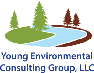 Young Environmental