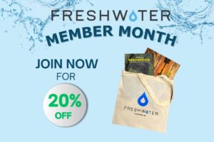 Member Month