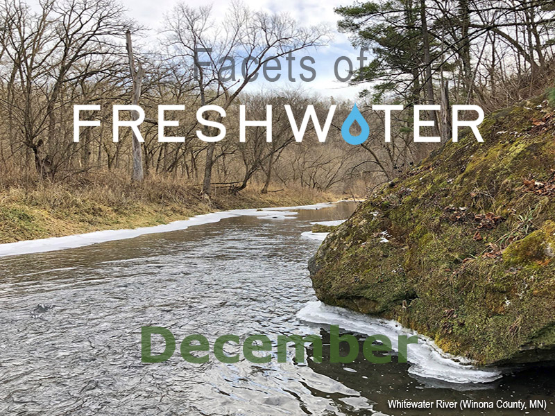 Facets of Freshwater