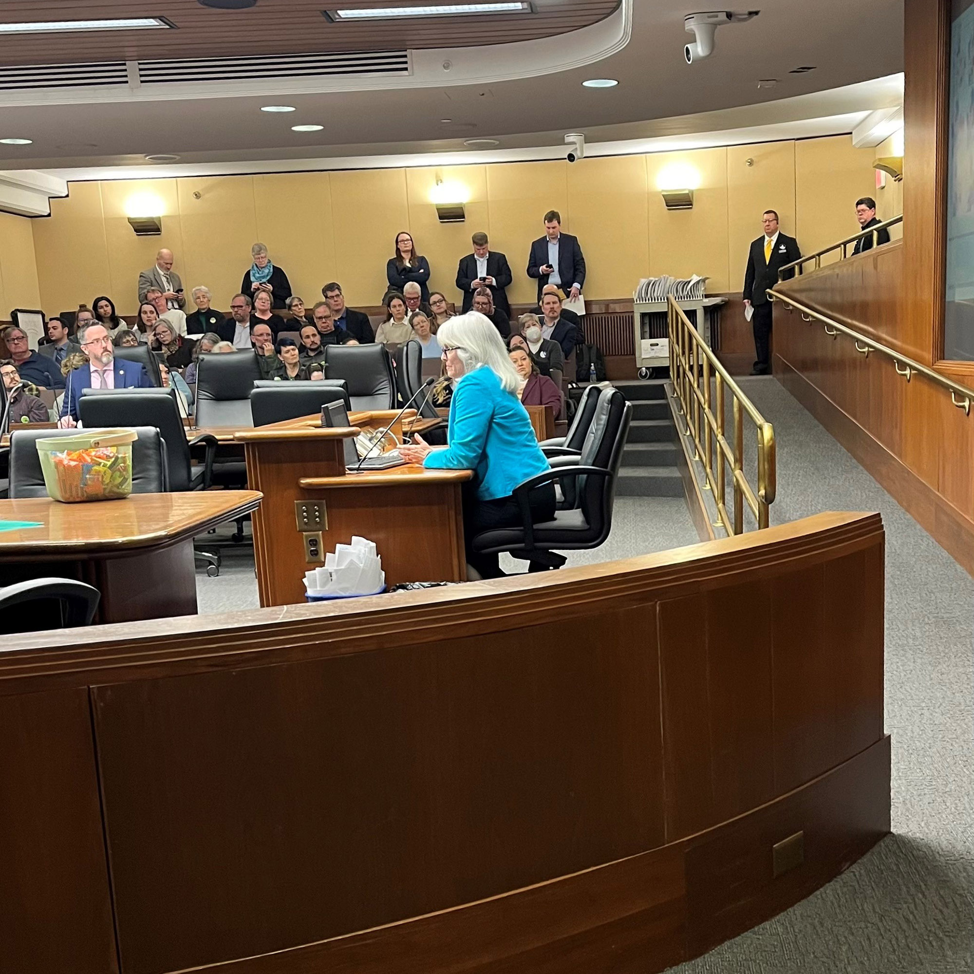 House hearing on nitrate