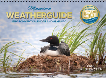 Weatherguide 2026 wall calendar