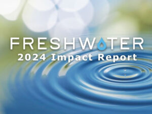 2024 Impact Report