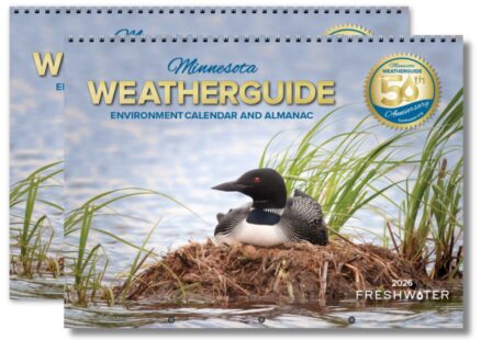 2026 Combo Deal 1: Two Wall Calendars