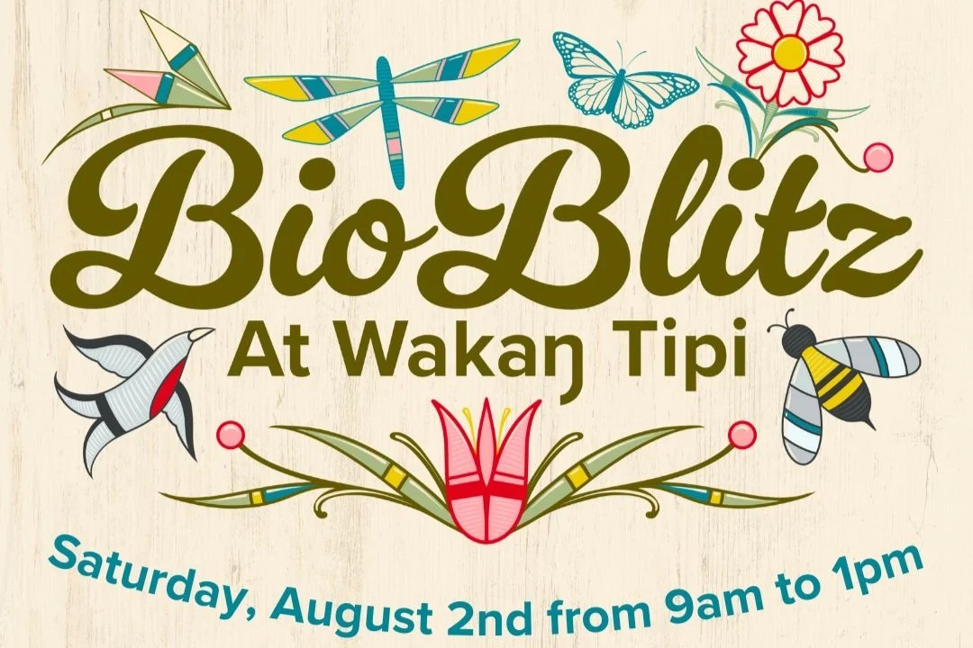 bioblitz+2025+29