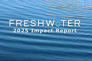 2025 Impact Report