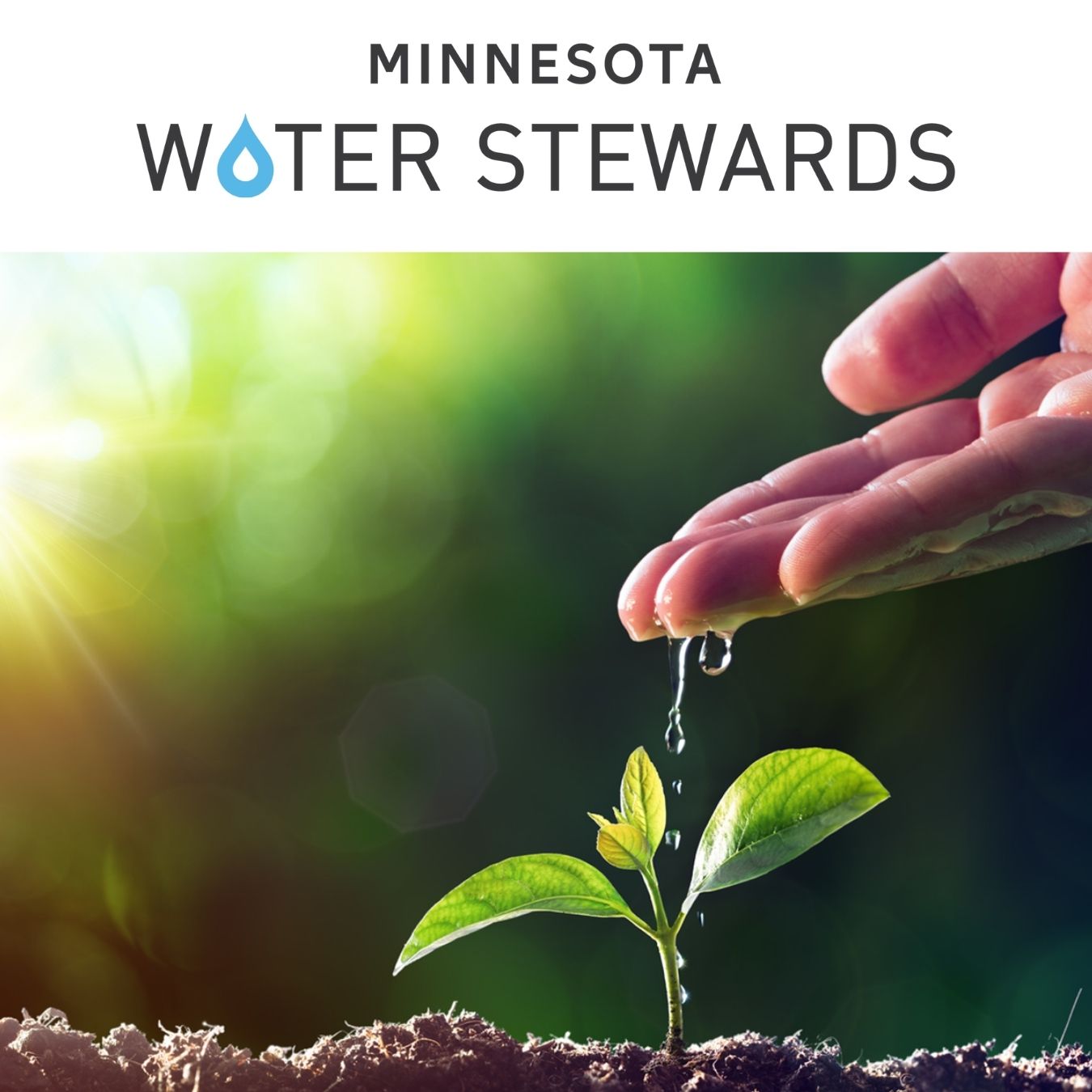 Minnesota Water Stewards