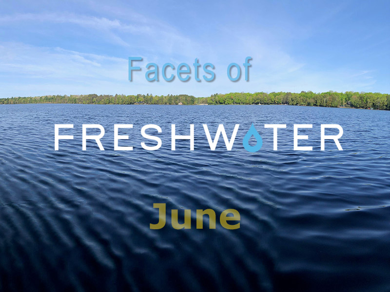 Facets of Freshwater