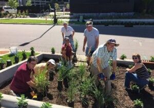 Minnesota Water Stewards