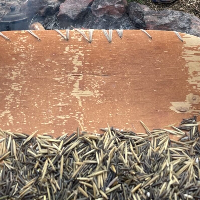 manoomin basket - landscape header (1) manoomin basket - landscape header (1)